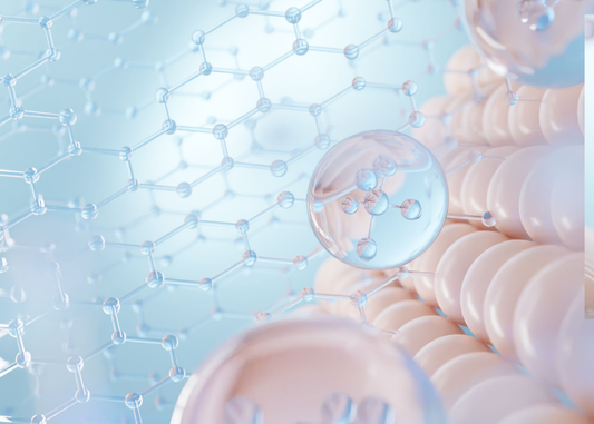 Vegan Collagen vs. Marine Collagen: Which Is Better?