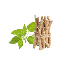 awre wellness supplement