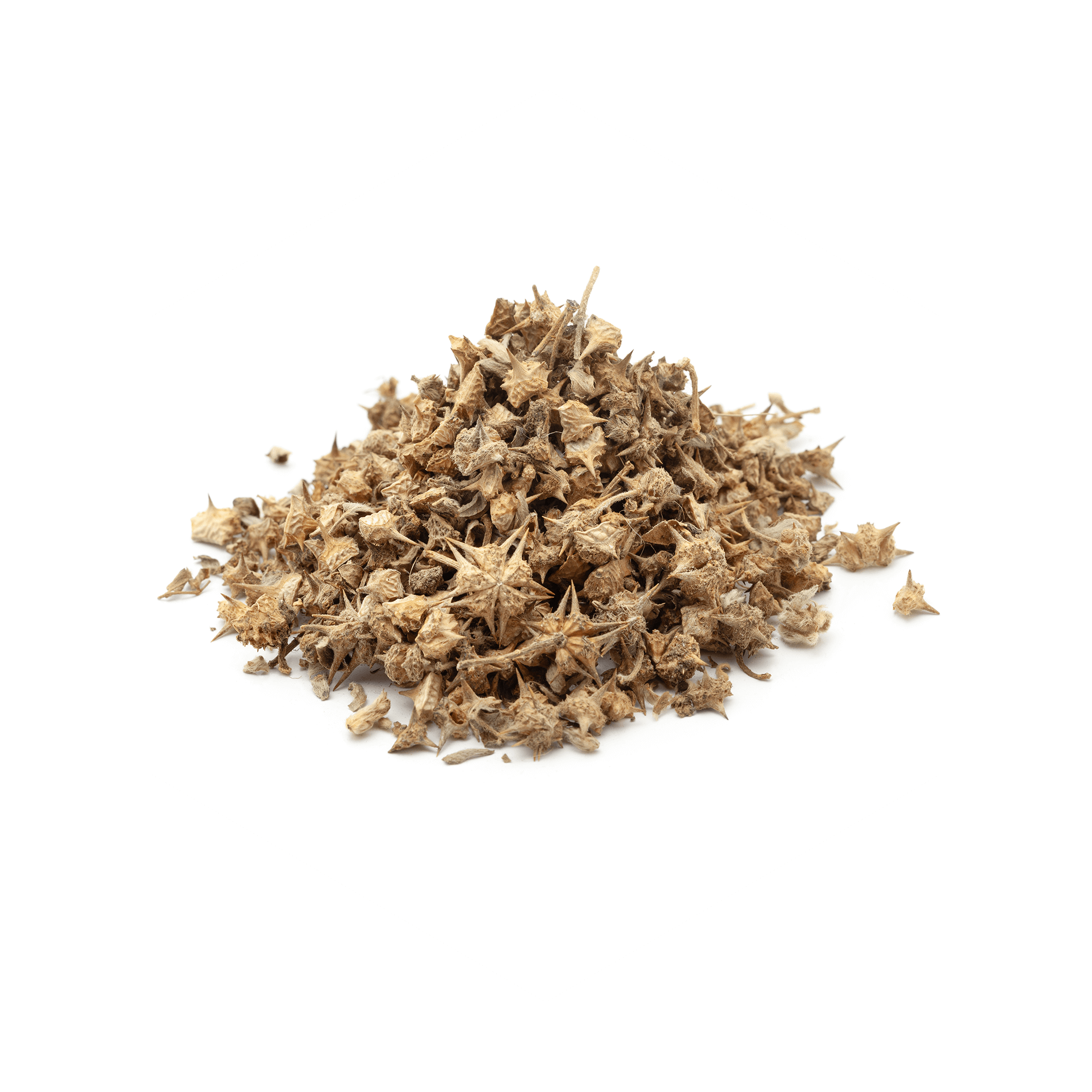Gokshura - Organic Ingredient In Be. Alpha For Muscle Recovery