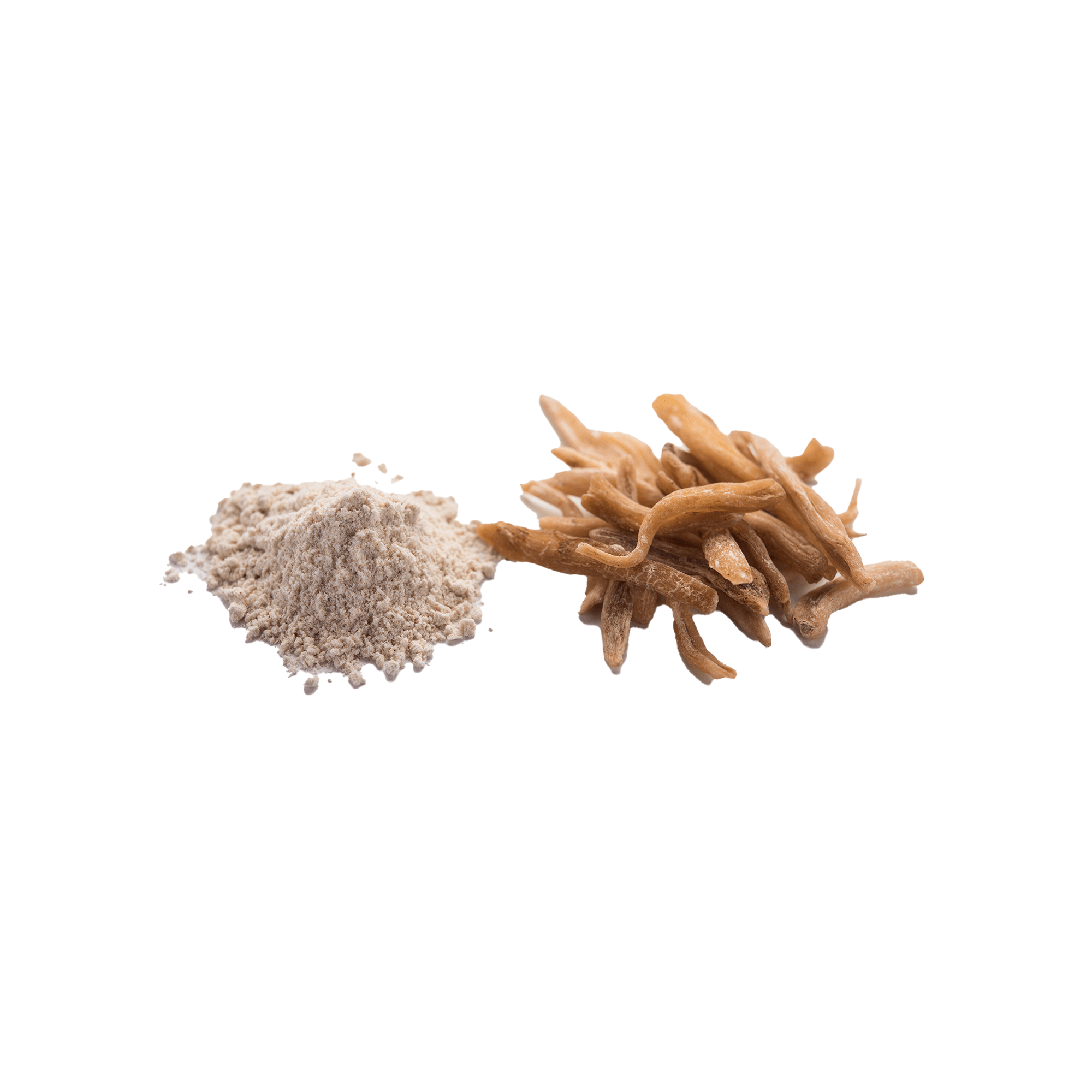 Safed Musli – Organic Ingredient In Be. Alpha For Strength & Vitality