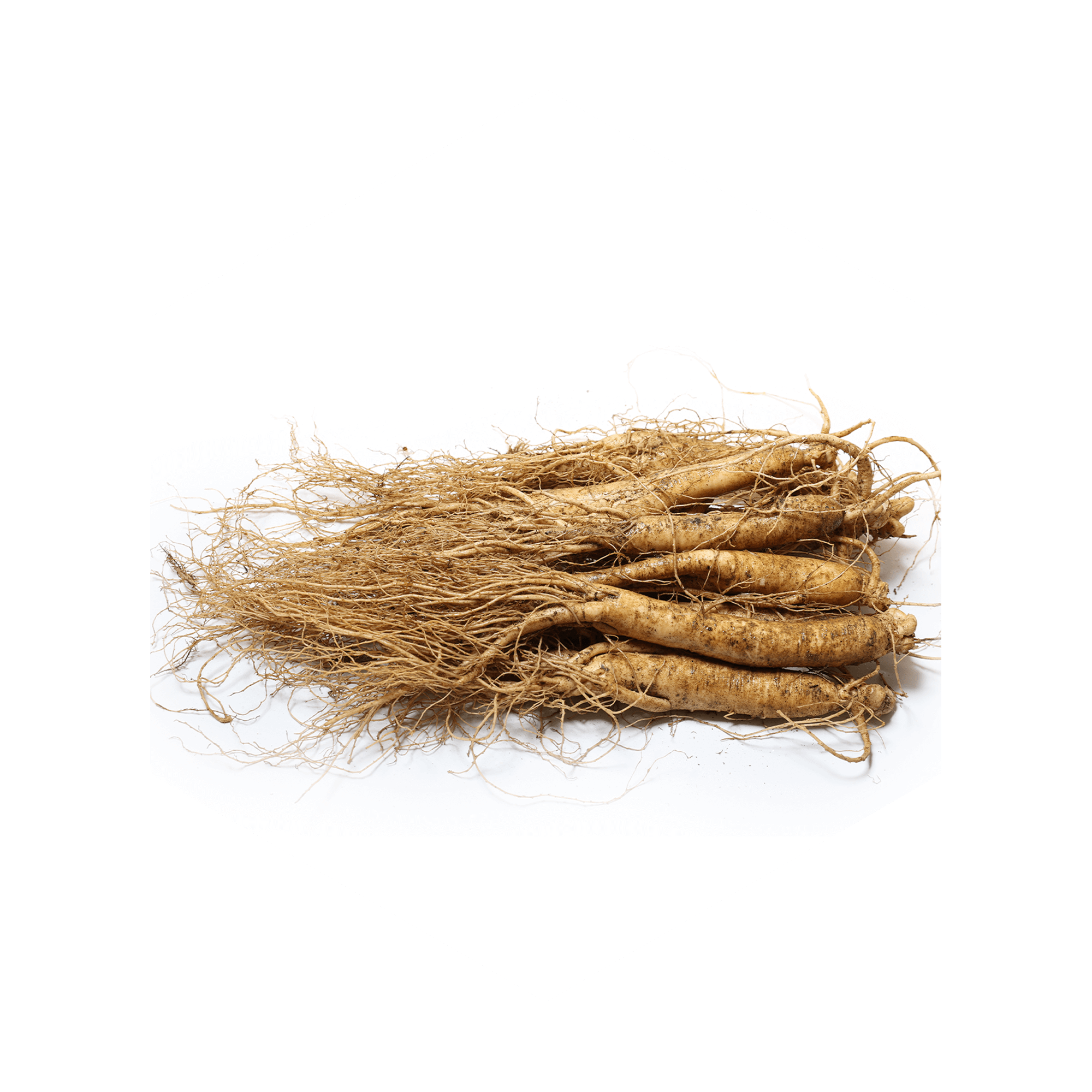 Siberian Ginseng - Key Ingredient in Be. Life Supplements