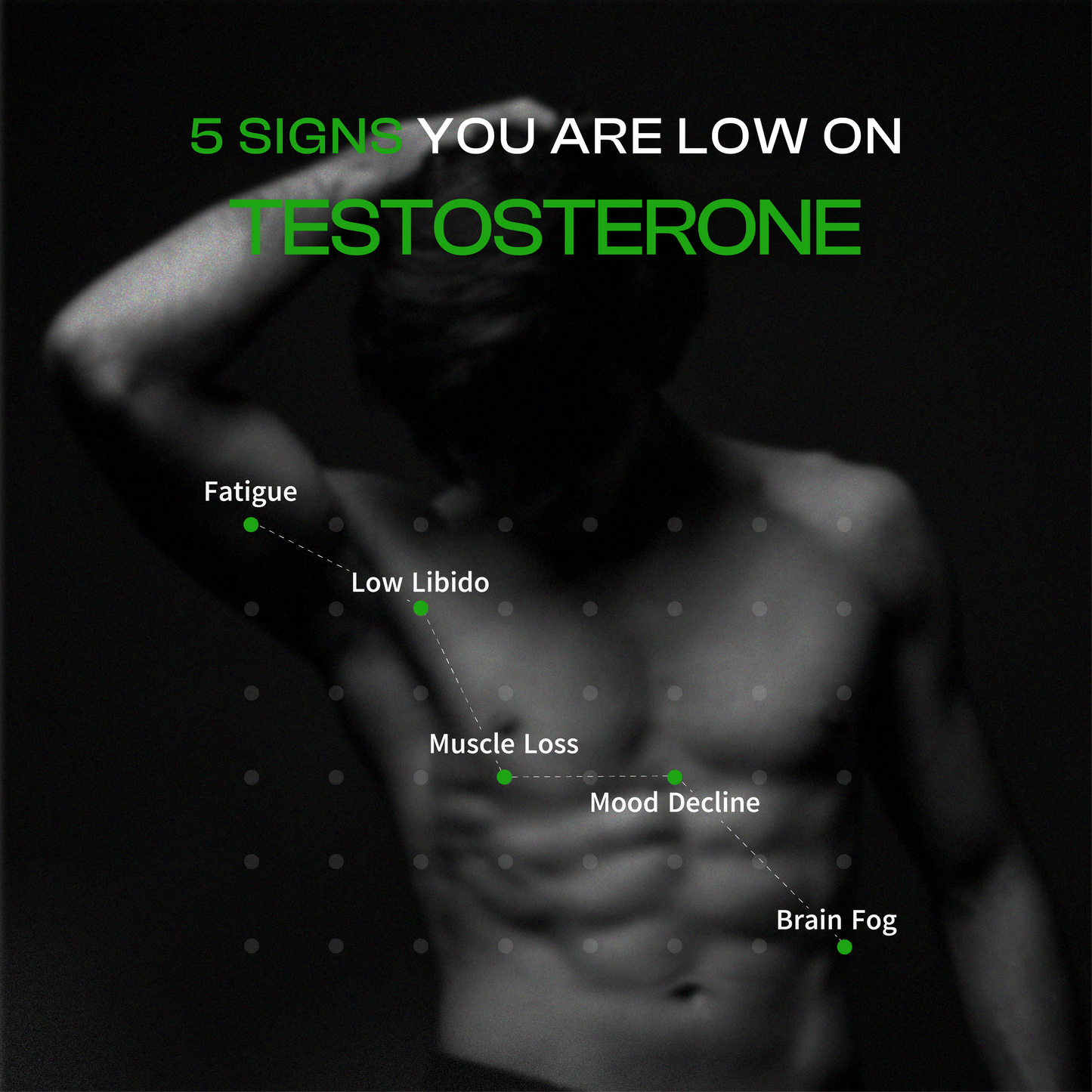 Be Alpha  Testosterone Booster