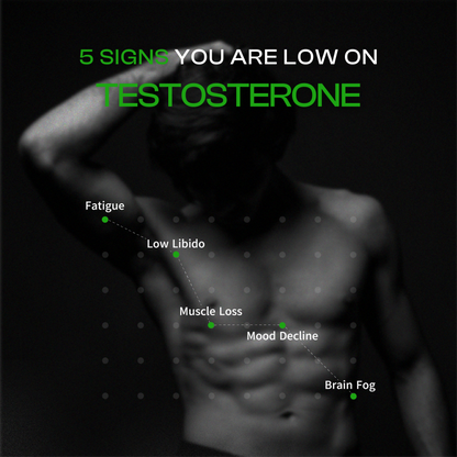 Be Alpha  Testosterone Booster